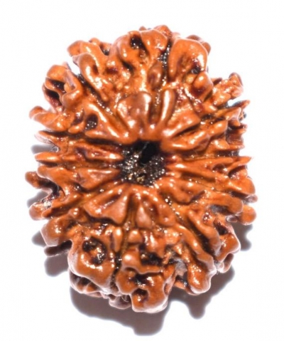  Service Provider of 10 Mukhi Rurdraksha New Delhi Delhi 