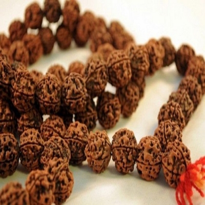  Service Provider of Rudraksha New Delhi Delhi 